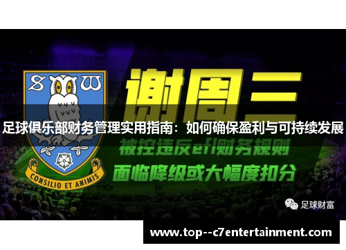 足球俱乐部财务管理实用指南：如何确保盈利与可持续发展